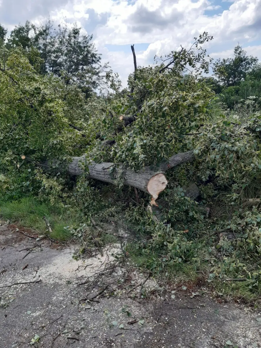 Działania strażaków po burzowym armegedonie
