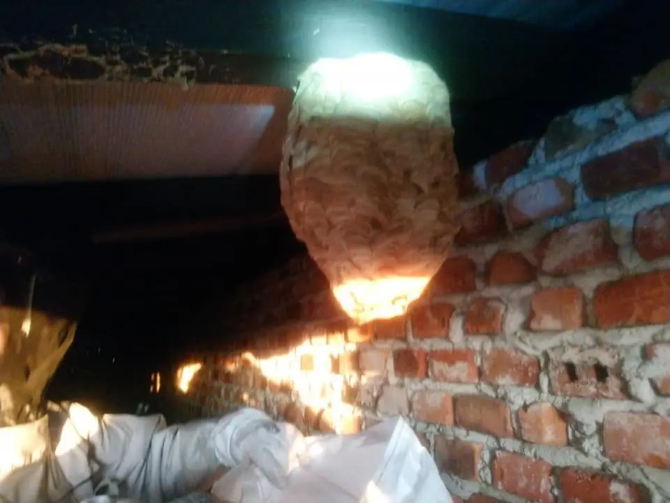 Działania OSP Gromadka