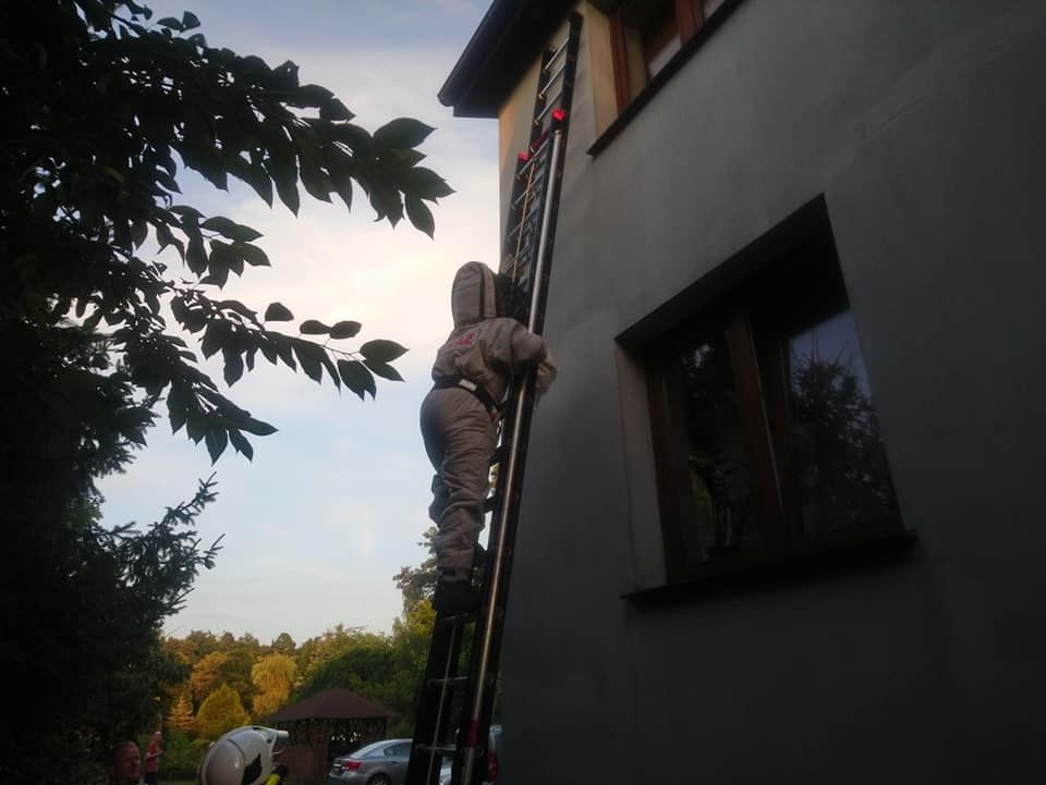 Działania OSP Gromadka