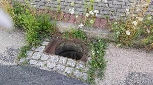 Trawa przy ulicy Ekonomicznej w Bolesławcu