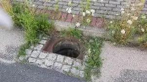 Trawa przy ulicy Ekonomicznej w Bolesławcu