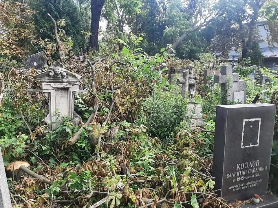 Bolesławianie na Ukrainie