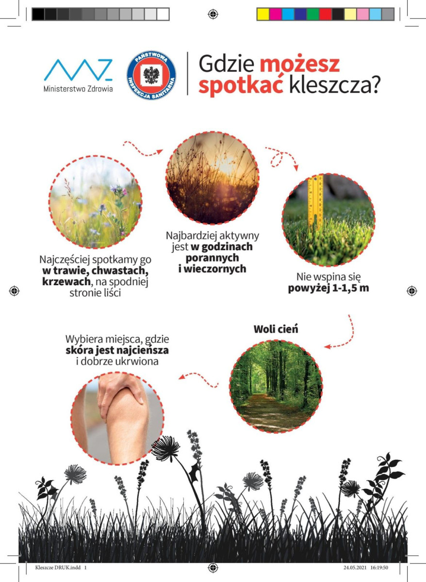 Prezentacja Ministerstwa Zdrowia dotycząca kleszczy