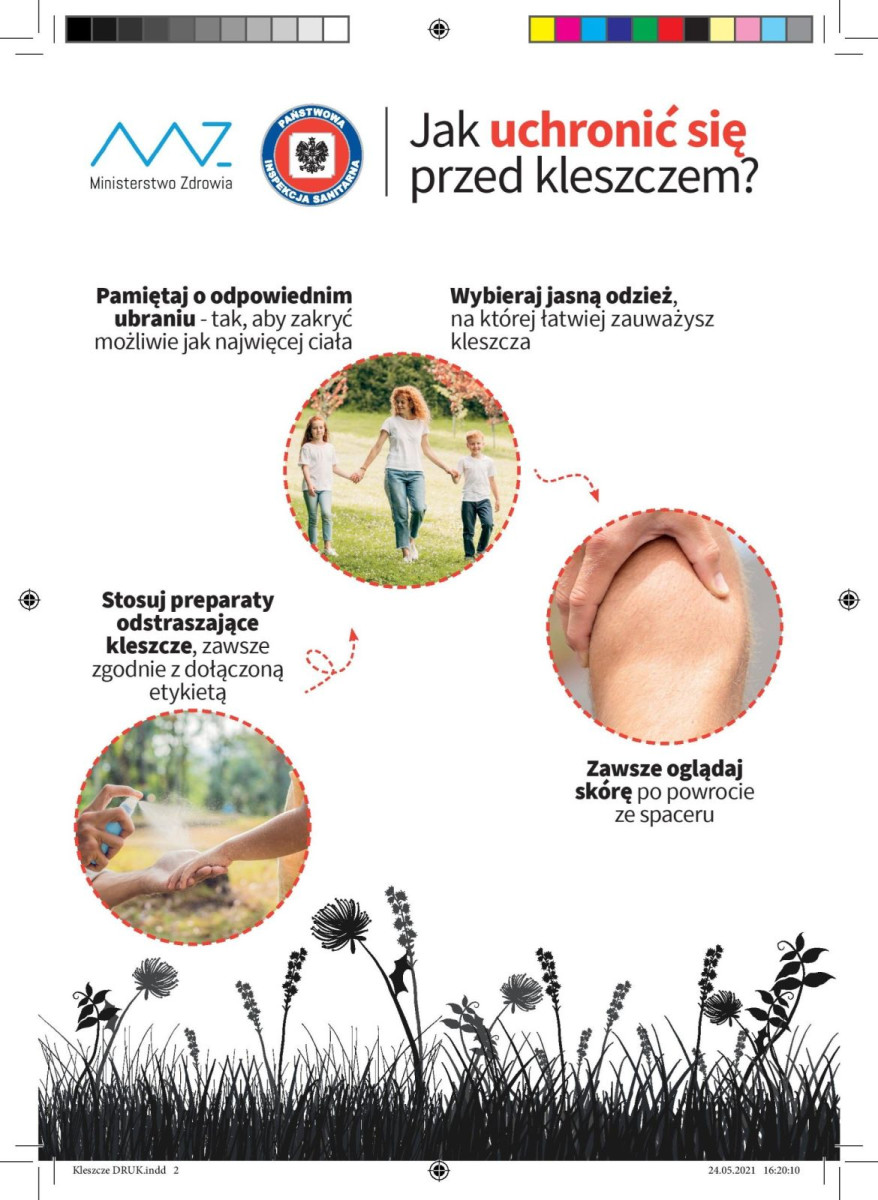 Prezentacja Ministerstwa Zdrowia dotycząca kleszczy