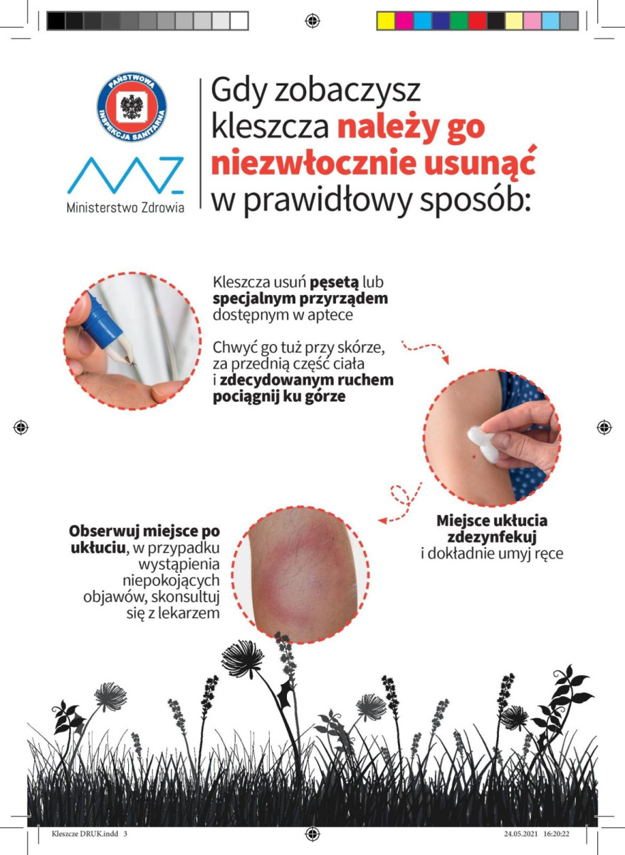 Prezentacja Ministerstwa Zdrowia dotycząca kleszczy