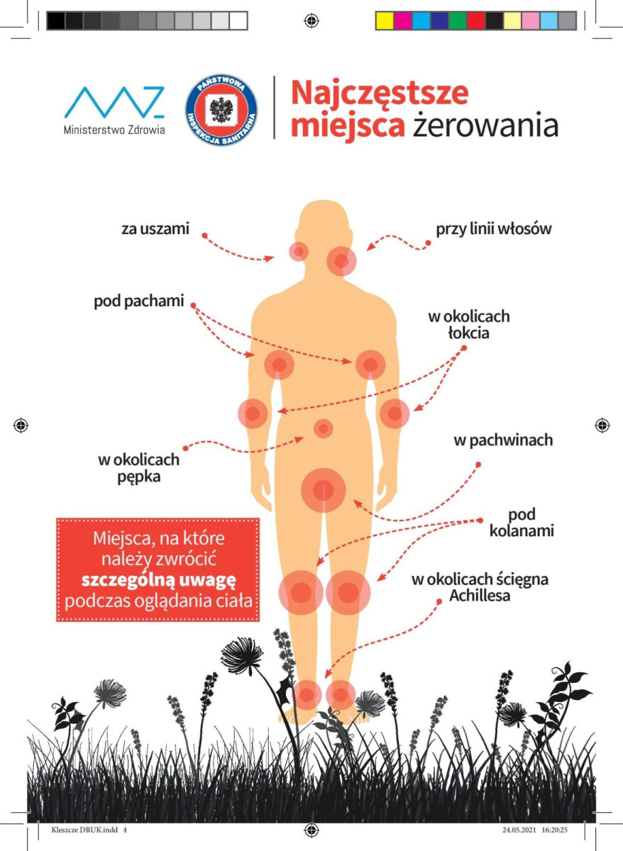 Prezentacja Ministerstwa Zdrowia dotycząca kleszczy