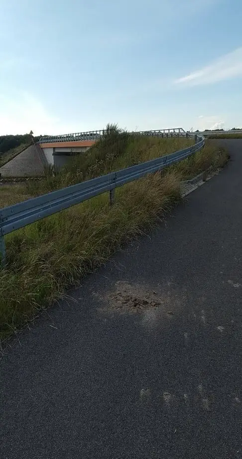 Niebezpiecznie na wiadukcie!