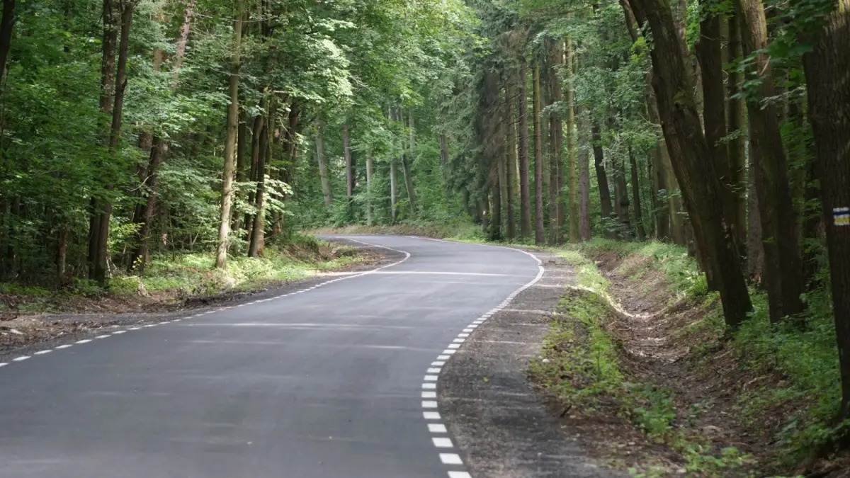 Przebudowa drogi powiatowej nr 2291D na odcinku Wartowice – Łaziska