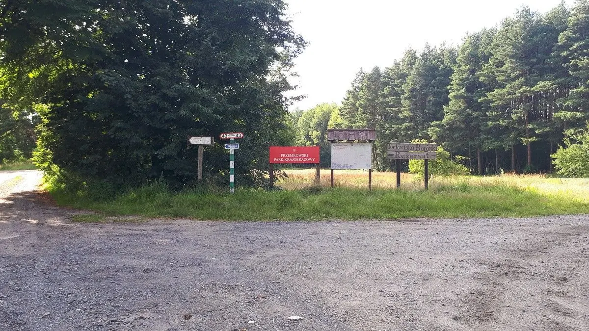 „Wspólnie dla Borówek”