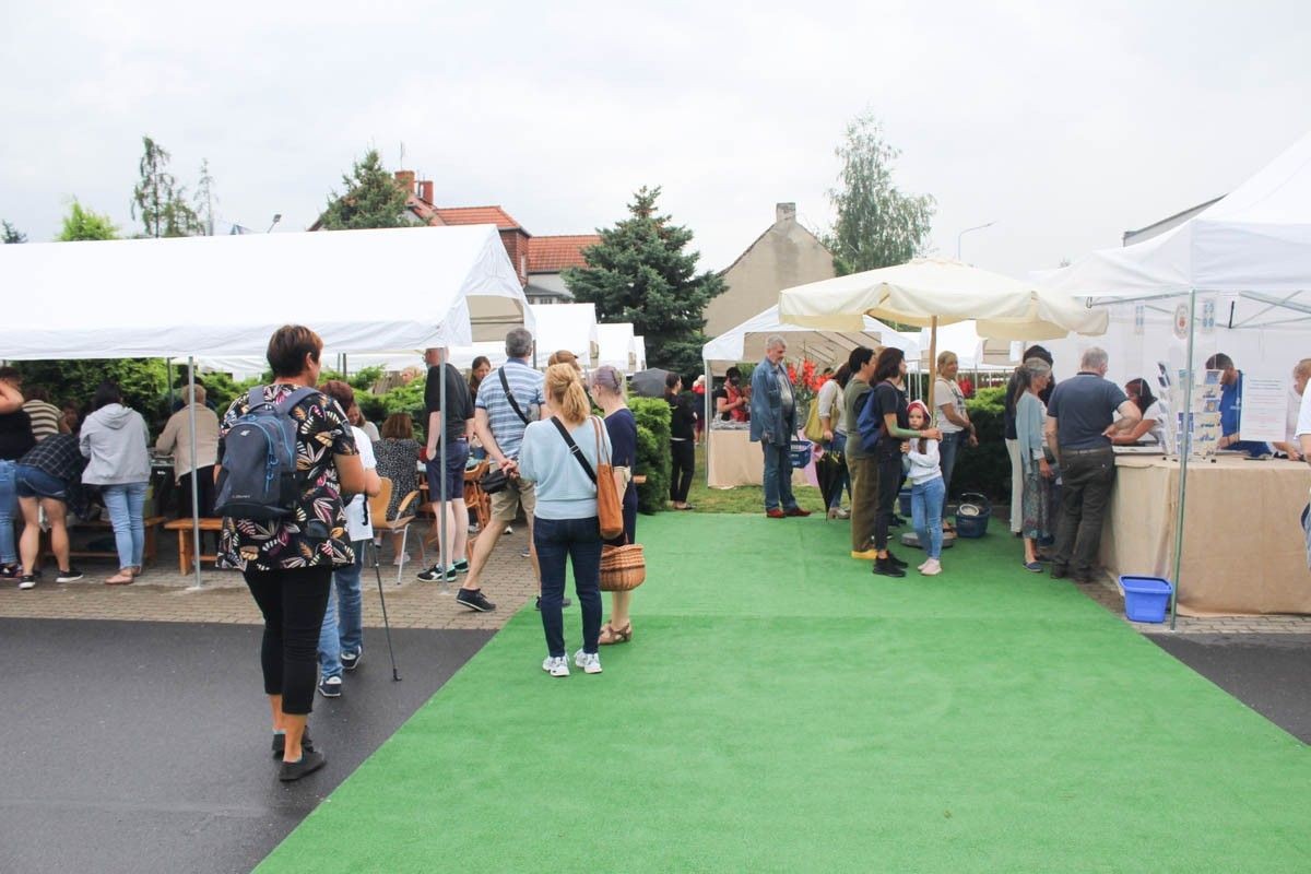 Ceramiczny ogród przy Ceramice Artystycznej