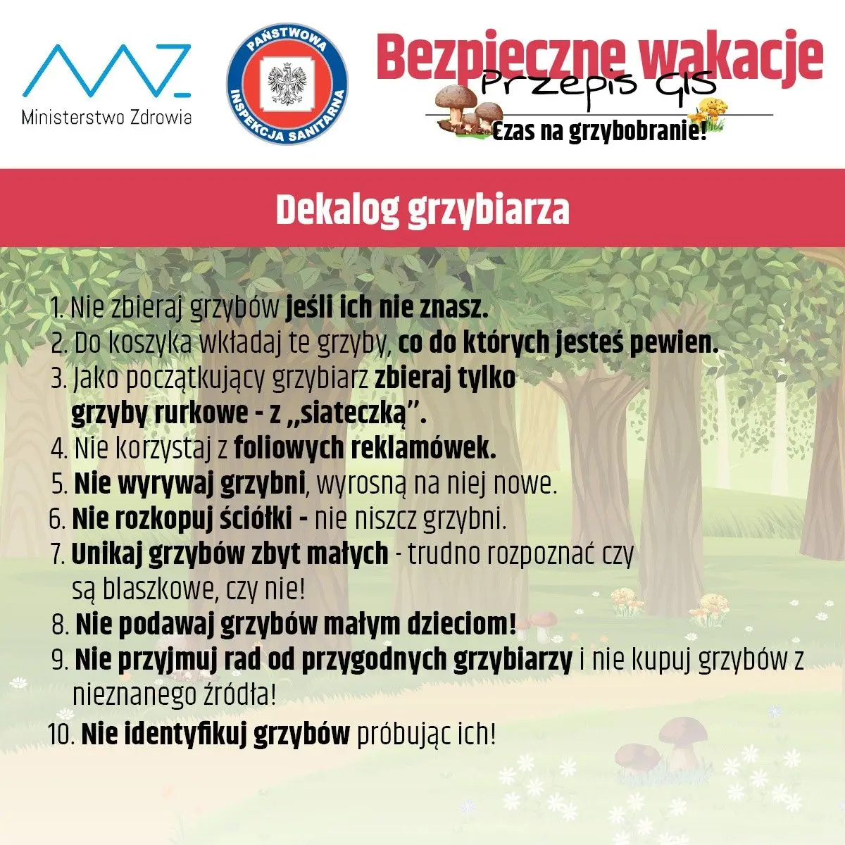 Prezentacja MZ