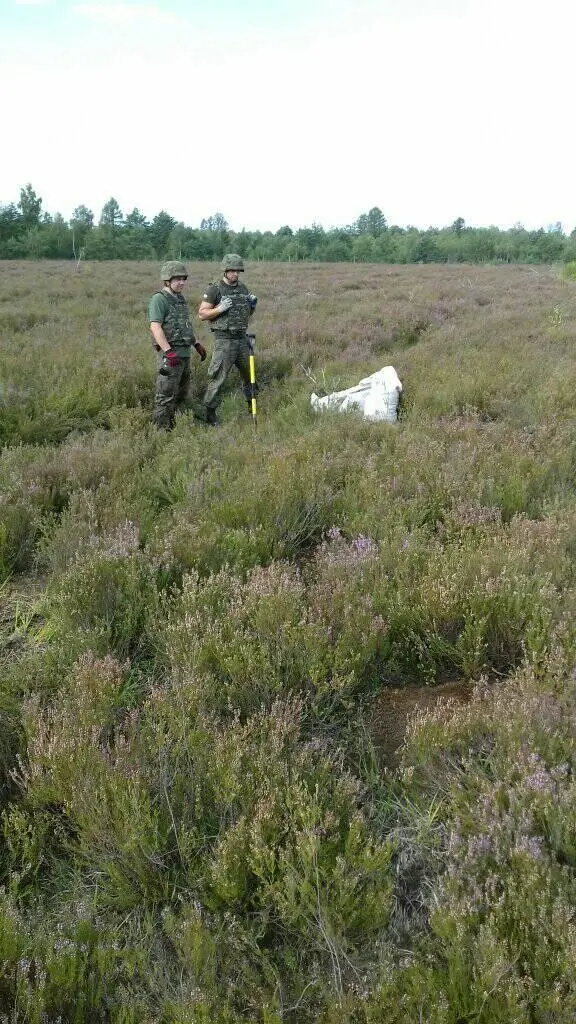 Akcja Patrolu Saperskiego Bolesławiec na wrzosowisku w powiecie bolesławieckim i lubańskim