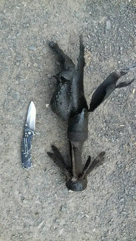 Akcja Patrolu Saperskiego Bolesławiec na wrzosowisku w powiecie bolesławieckim i lubańskim