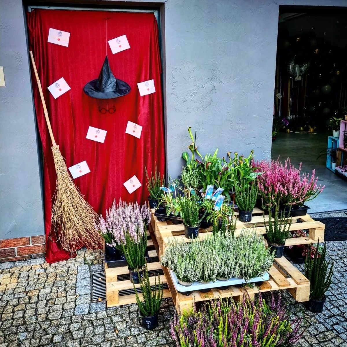 Dekoracje imprezowe DAHIOOSH Atelier