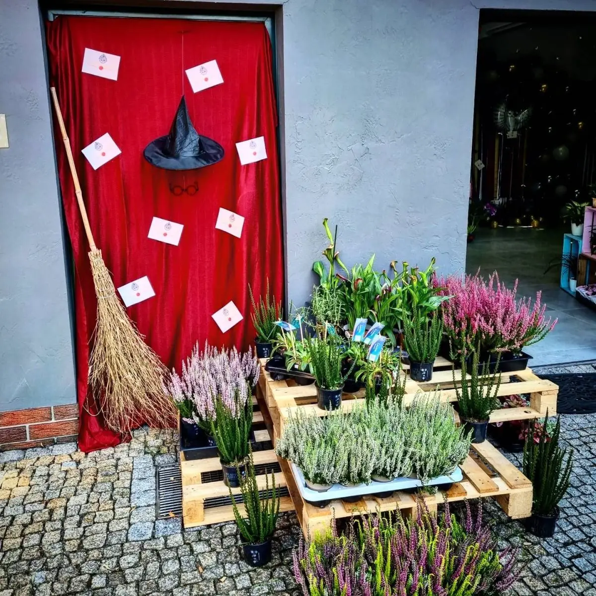 Dekoracje imprezowe DAHIOOSH Atelier