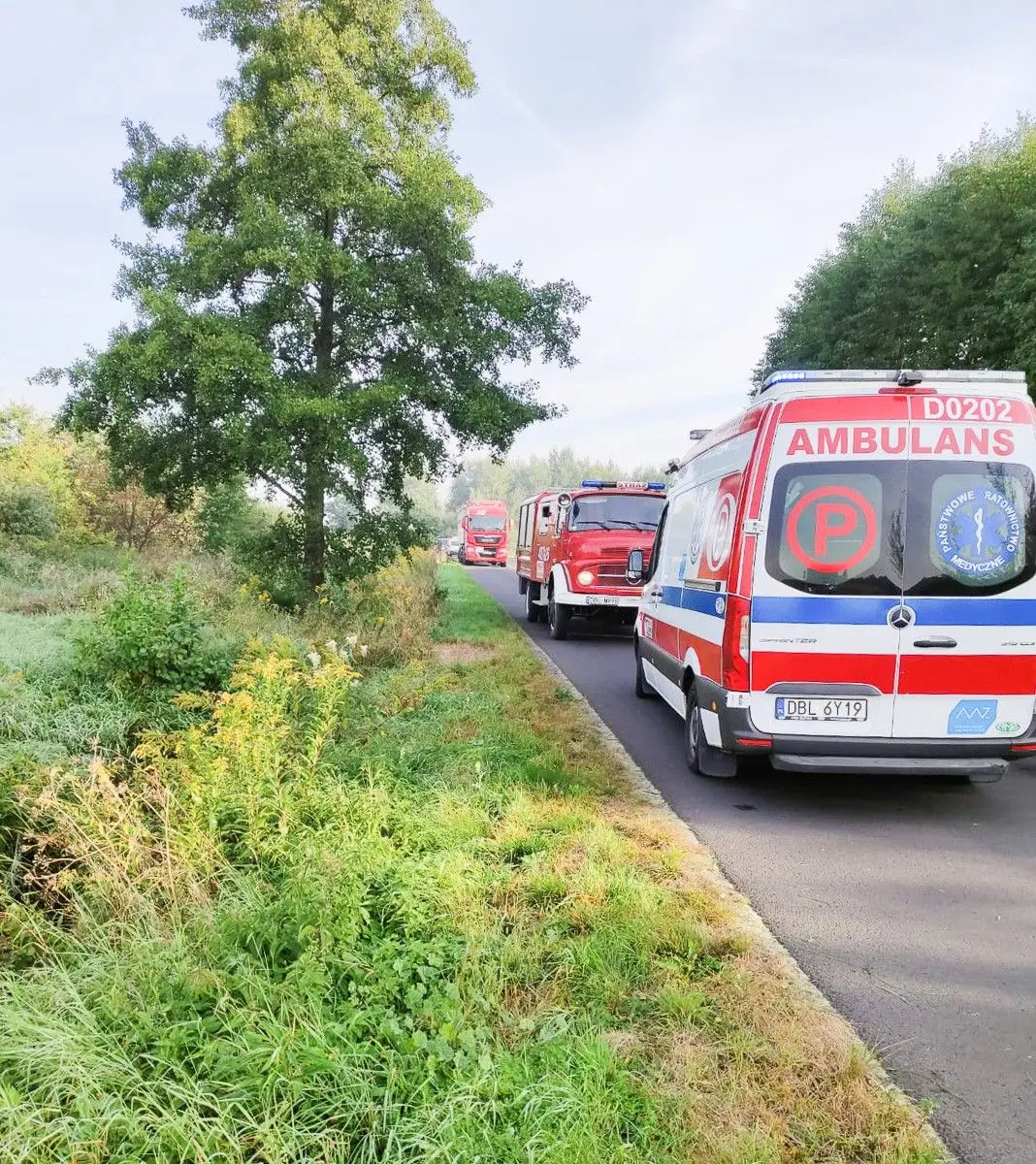 Zdarzenie między Wierzbową a Gromadką