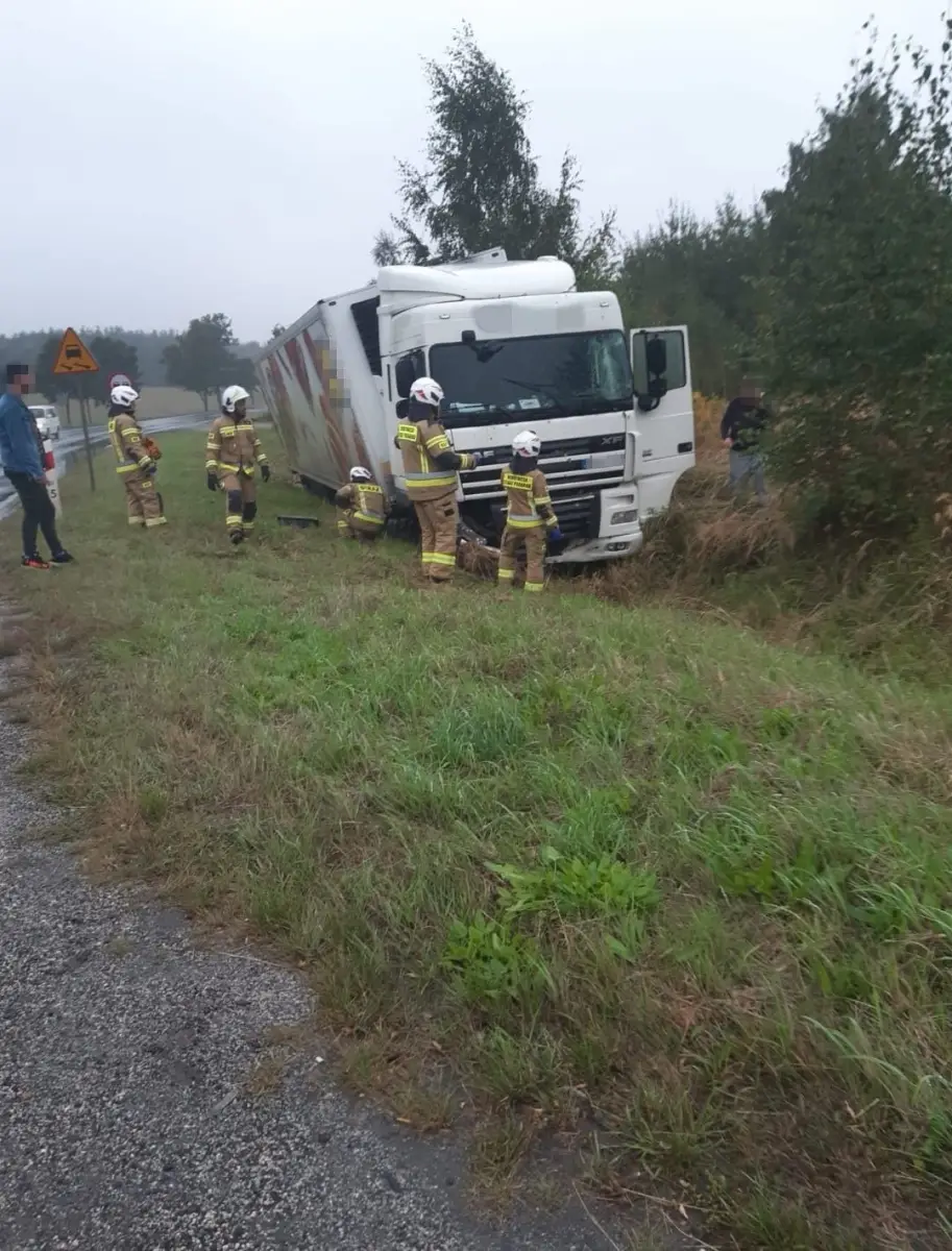 Akcja służb w Wilczym Lesie