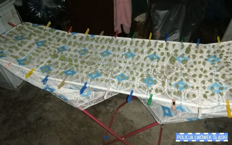 Działania lwóweckiej policji