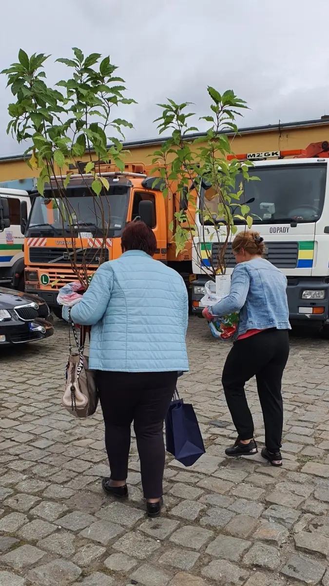 Akcja miejskich instytucji