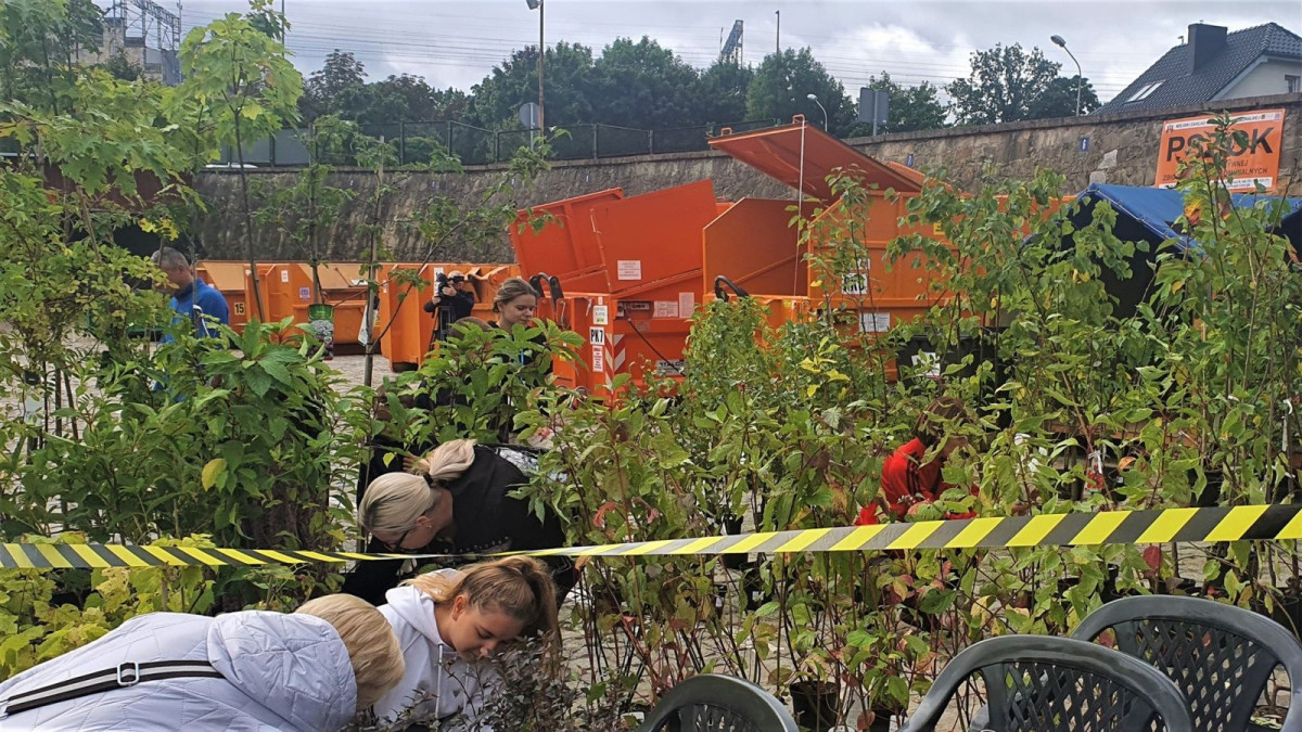 Akcja miejskich instytucji