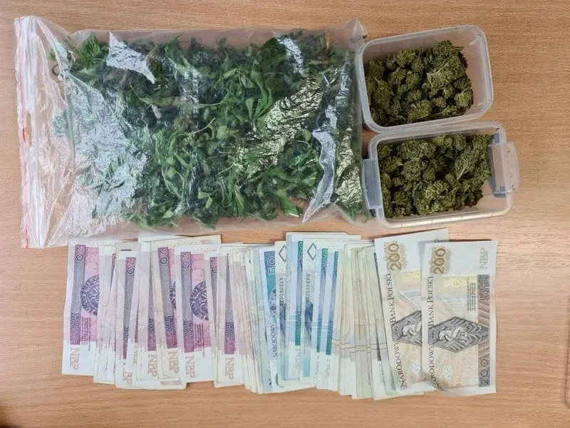 Działania jeleniogórskiej policji