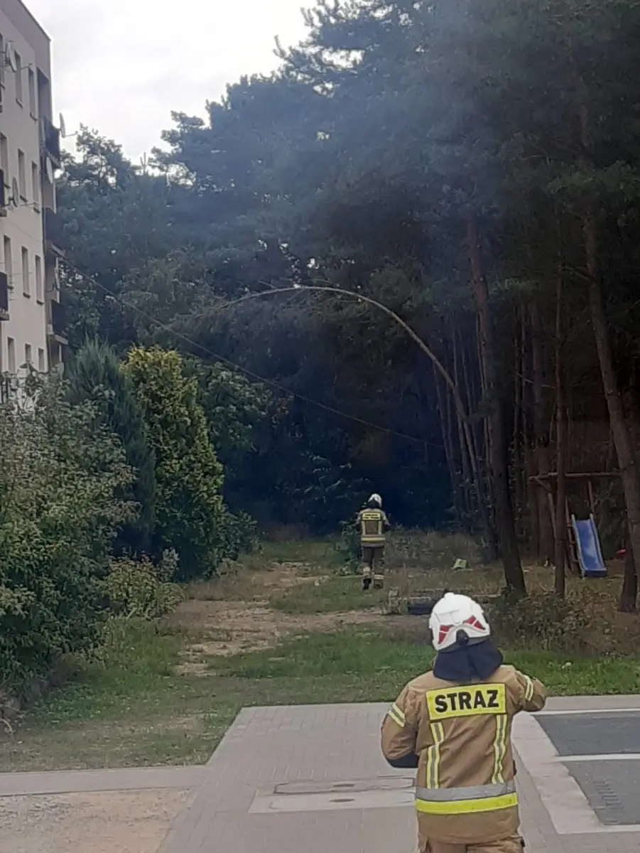 Akcja służb w Szczytnicy