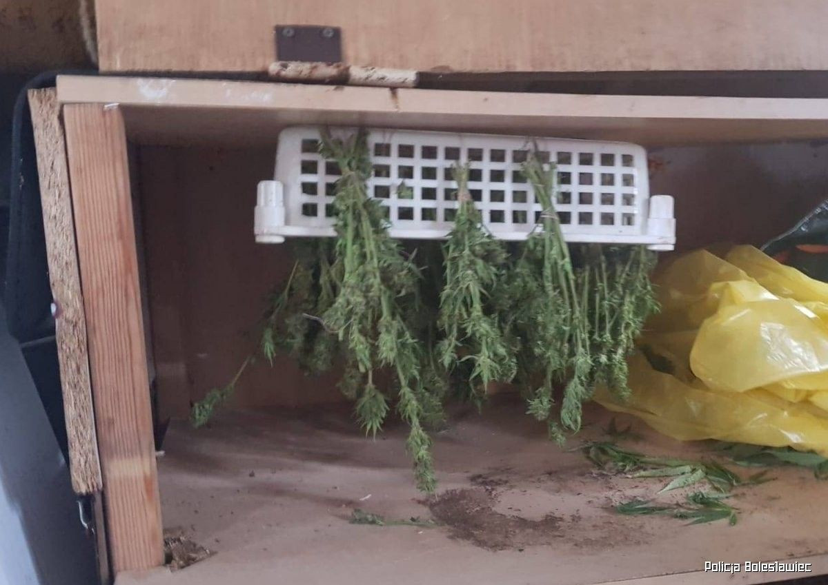 Działania policjantów z Kruszyna