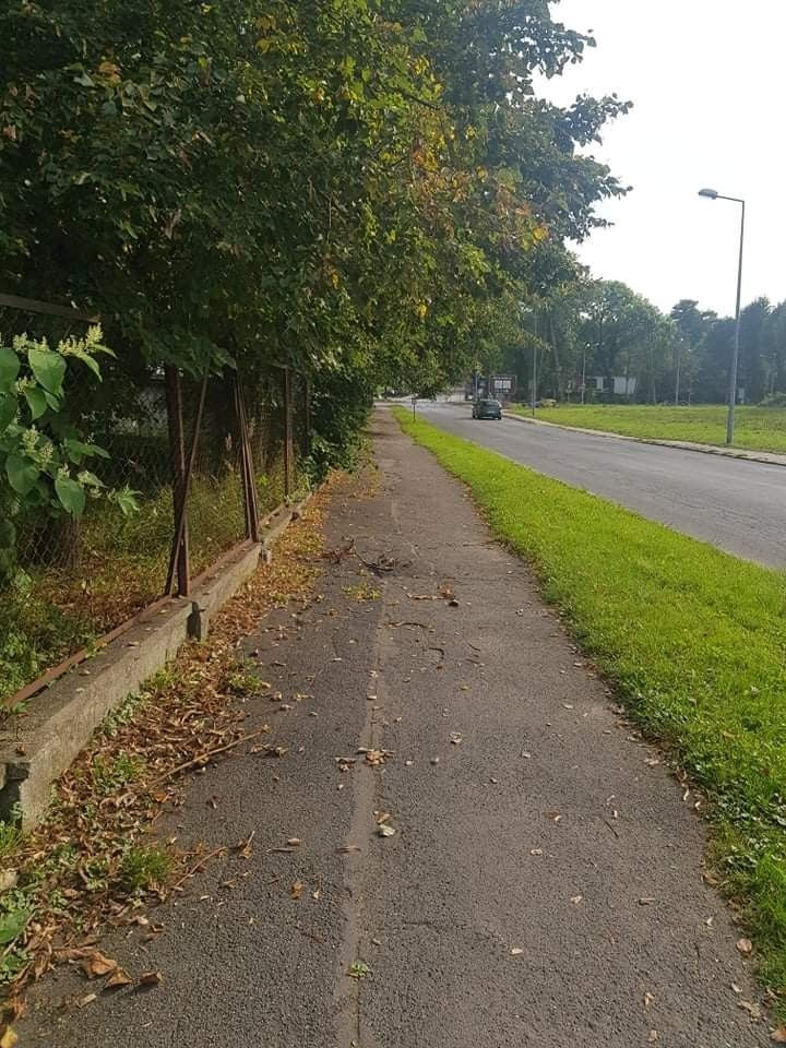 Chodnik przy pl. Piastowskim w Bolesławcu