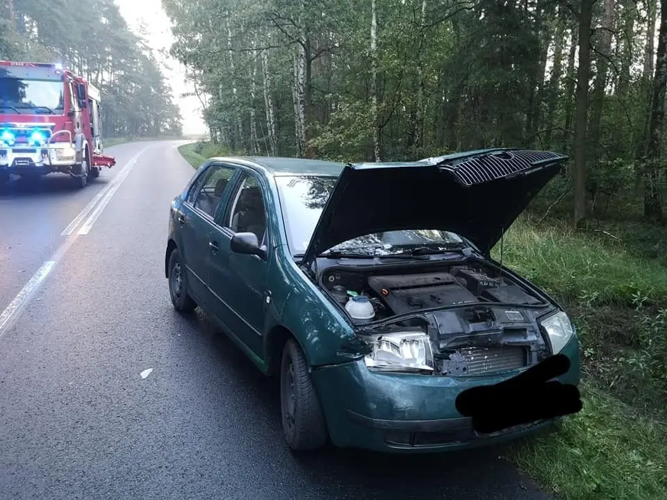 Akcja straży pożarnej między Krzyżową a Kraśnikiem
