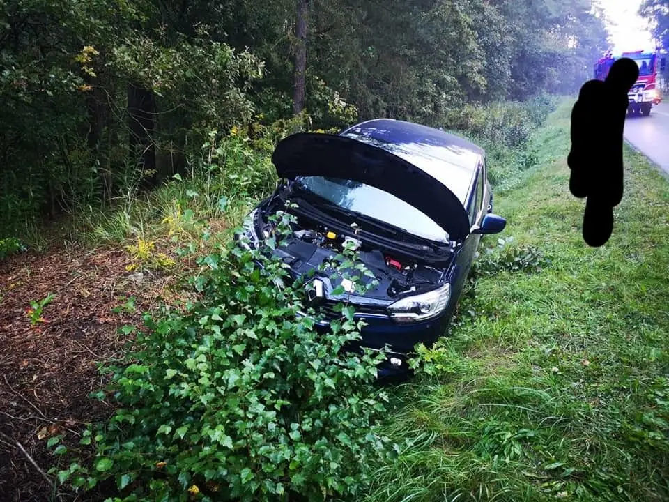 Akcja straży pożarnej między Krzyżową a Kraśnikiem