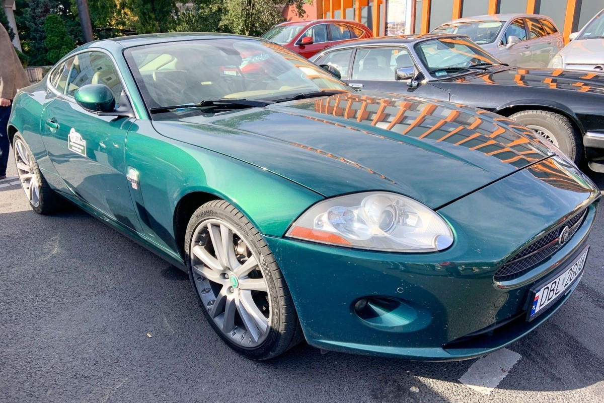 Jaguary w Bolesławcu