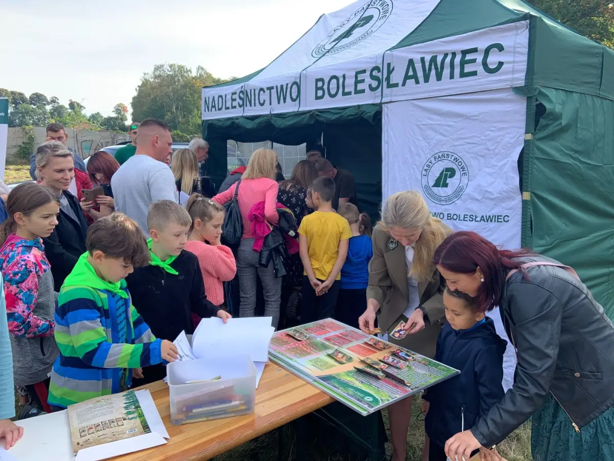 Akcja sadzenia jarzębin w Bolesławcu