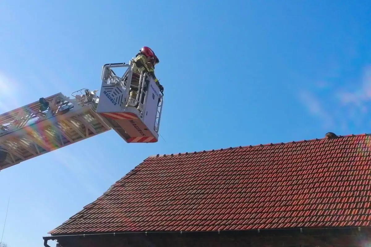 Strażacy i szop pracz na dachu budynku w Czernej