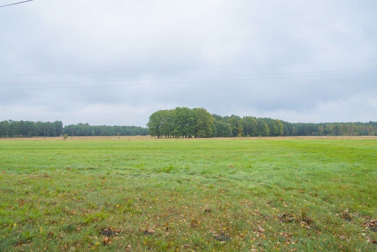 Droga po której miałyby jeździć ciężkie pojazdy i tereny na których miałaby być żwirwonia