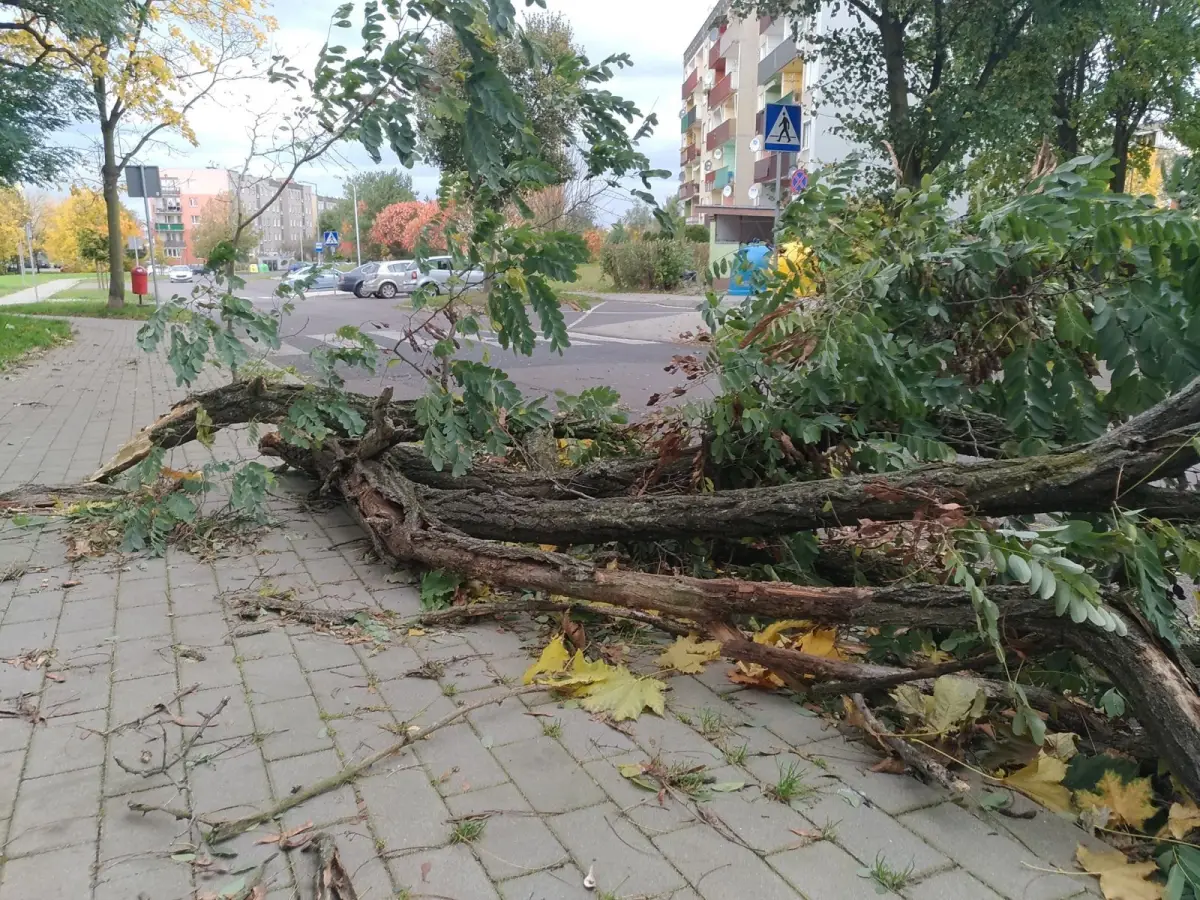 Ul. Starzyńskiego