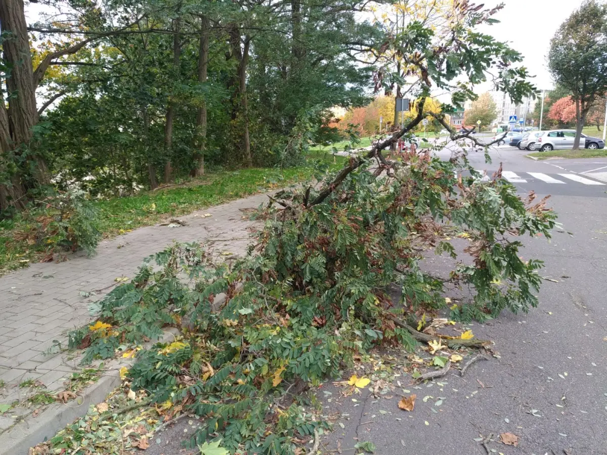 Ul. Starzyńskiego