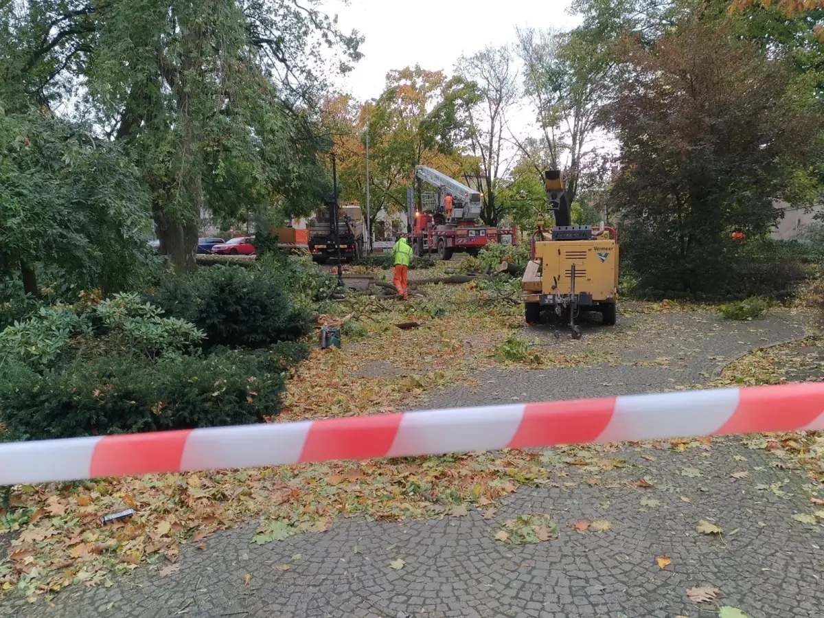 Ulica Kubika