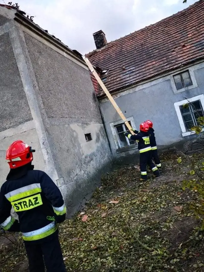 Działania OSP Krzyżowa