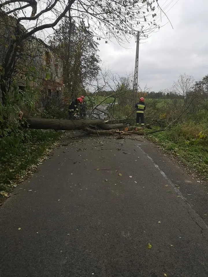 Działania OSP Krzyżowa