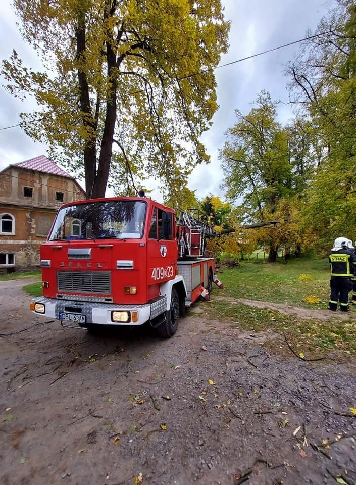 Działania OSP KSRG Nowogrodziec