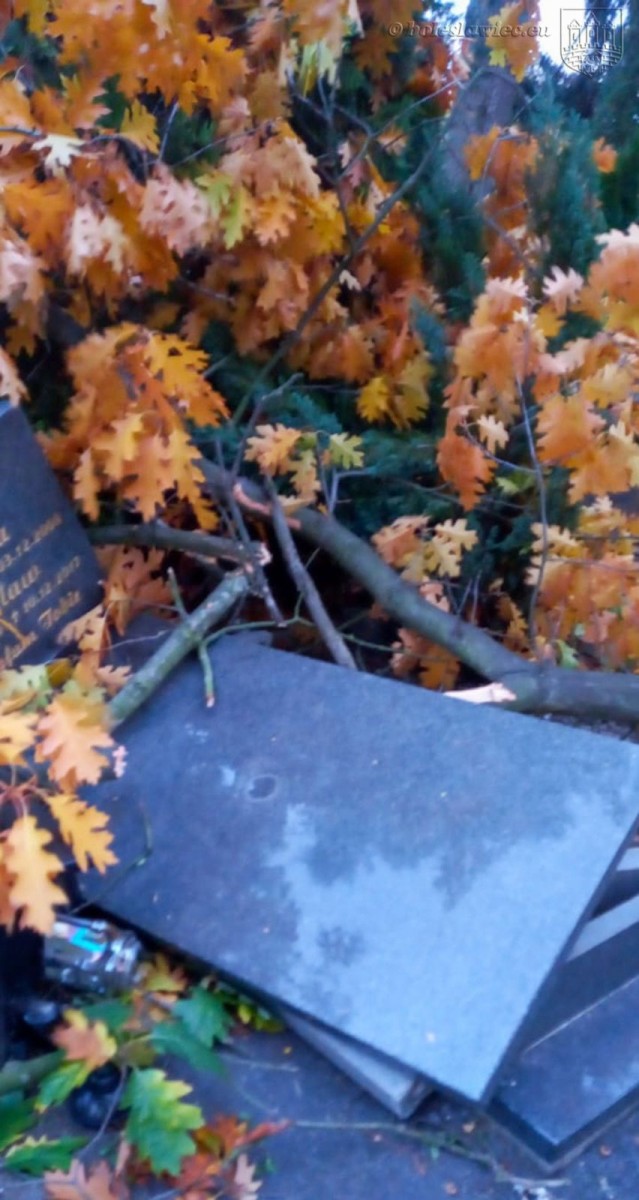 Krajobraz po wichurze. Trwa sprzątanie