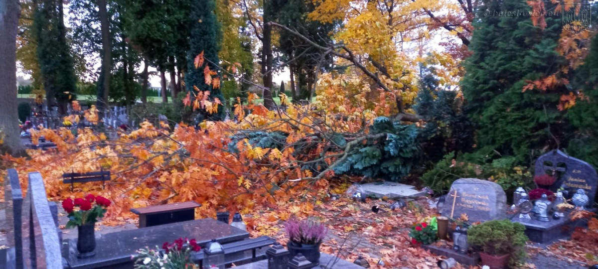 Krajobraz po wichurze. Trwa sprzątanie