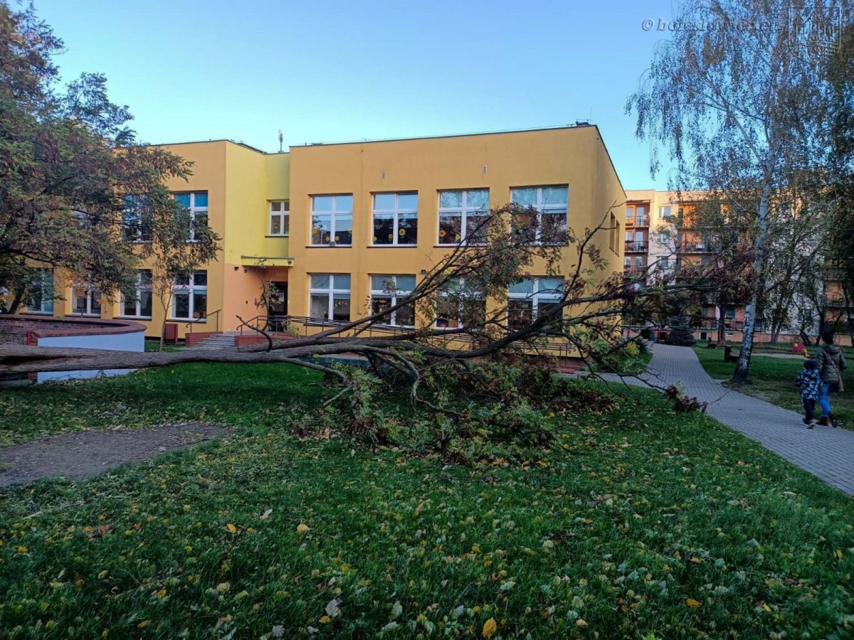 Krajobraz po wichurze. Trwa sprzątanie