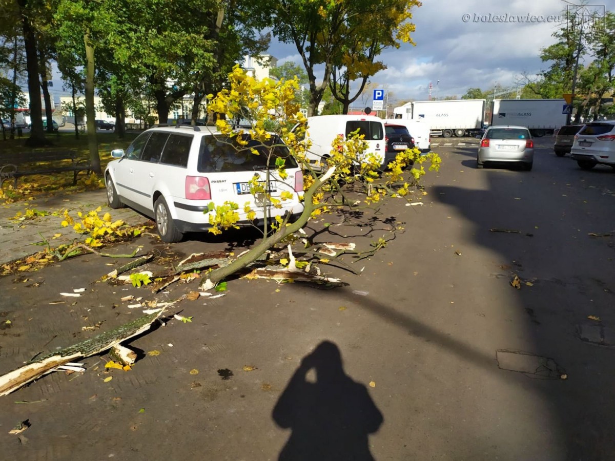 Krajobraz po wichurze. Trwa sprzątanie