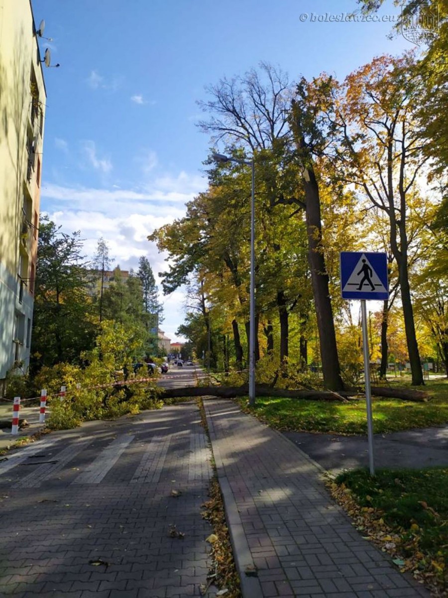 Krajobraz po wichurze. Trwa sprzątanie