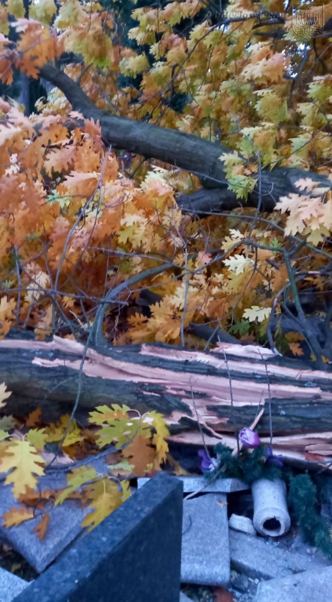 Krajobraz po wichurze. Trwa sprzątanie