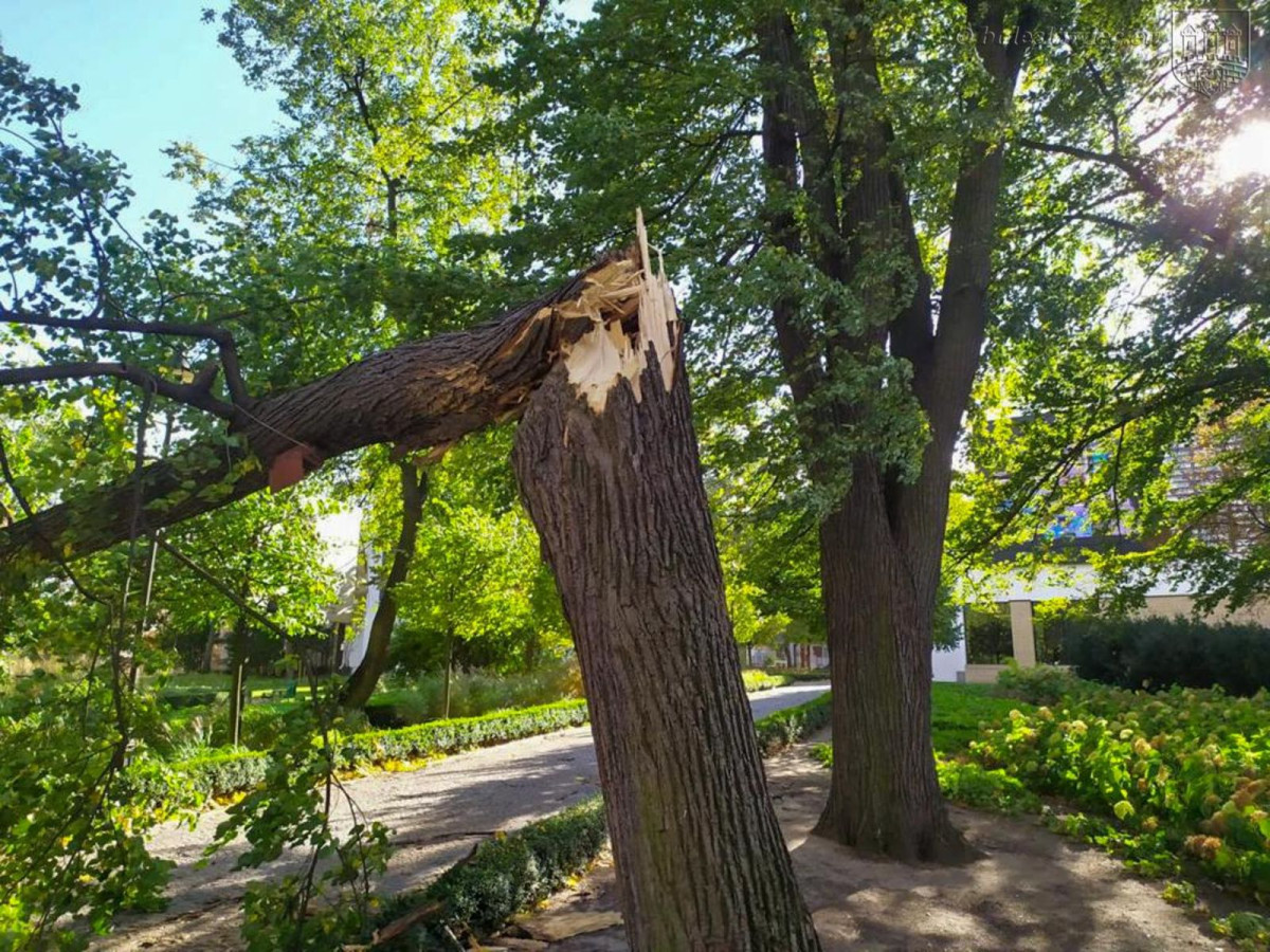 Krajobraz po wichurze. Trwa sprzątanie