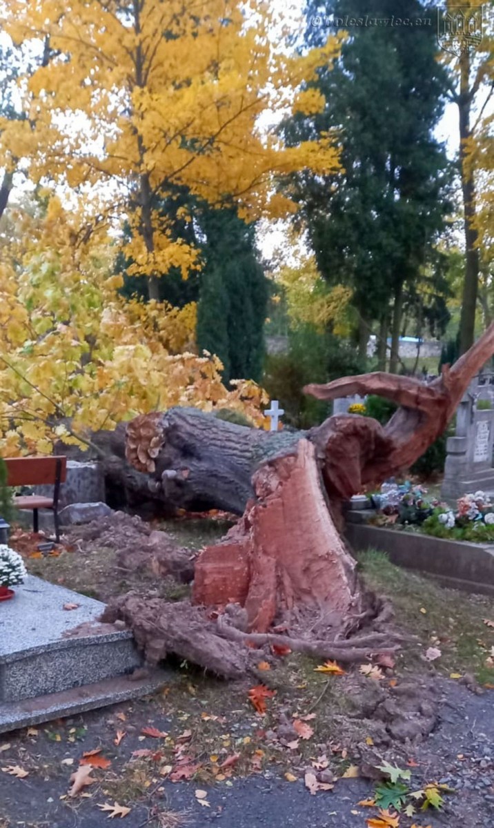 Krajobraz po wichurze. Trwa sprzątanie