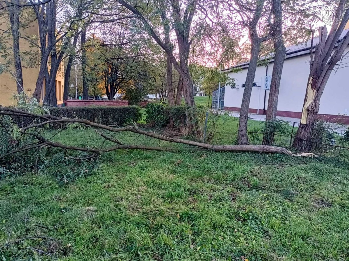 Krajobraz po wichurze. Trwa sprzątanie