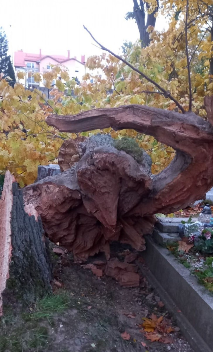 Krajobraz po wichurze. Trwa sprzątanie